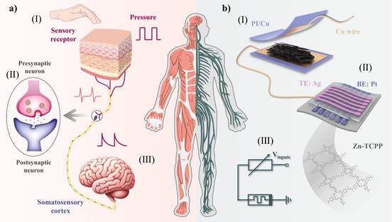 Figure1